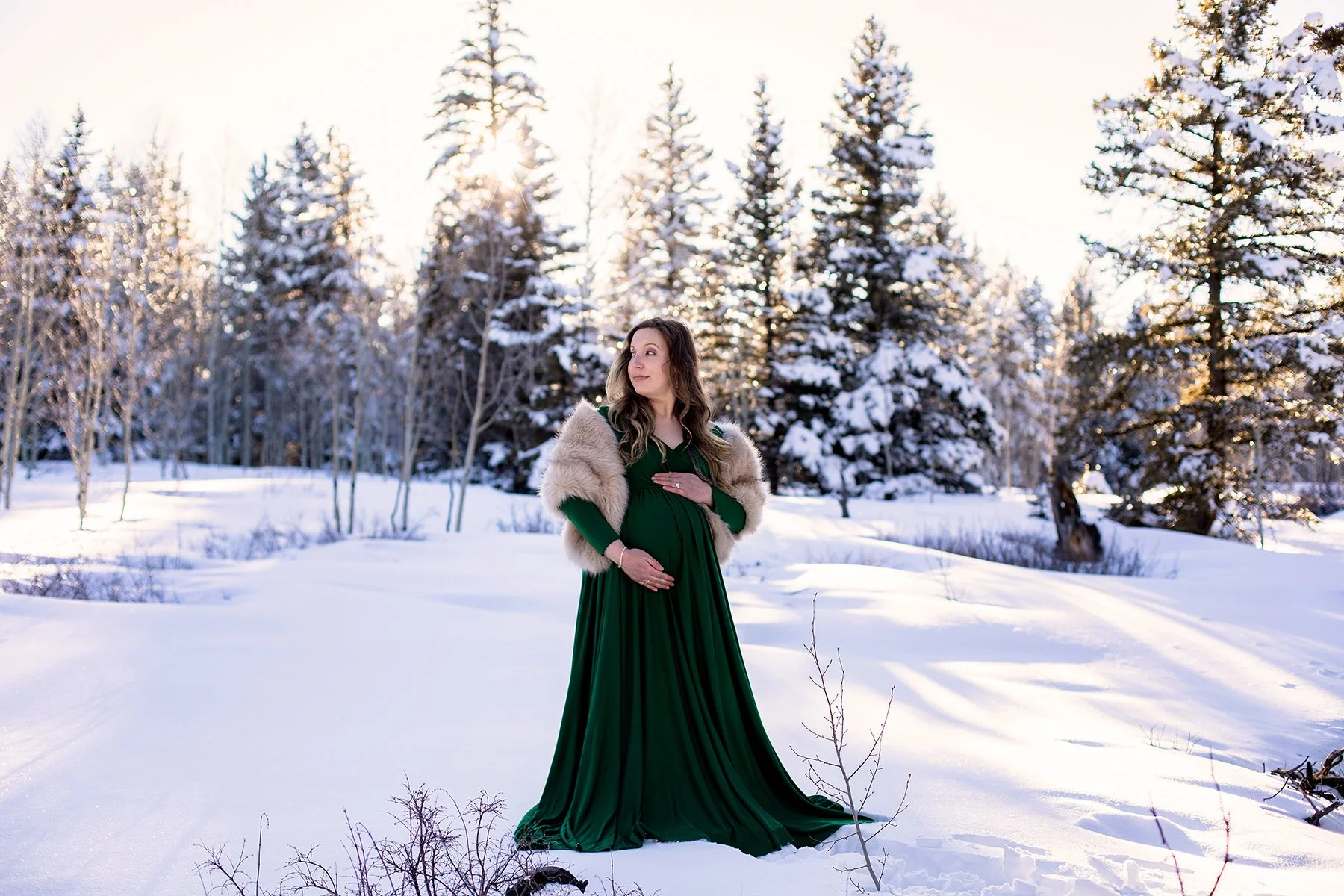 Montrose newborn photographer