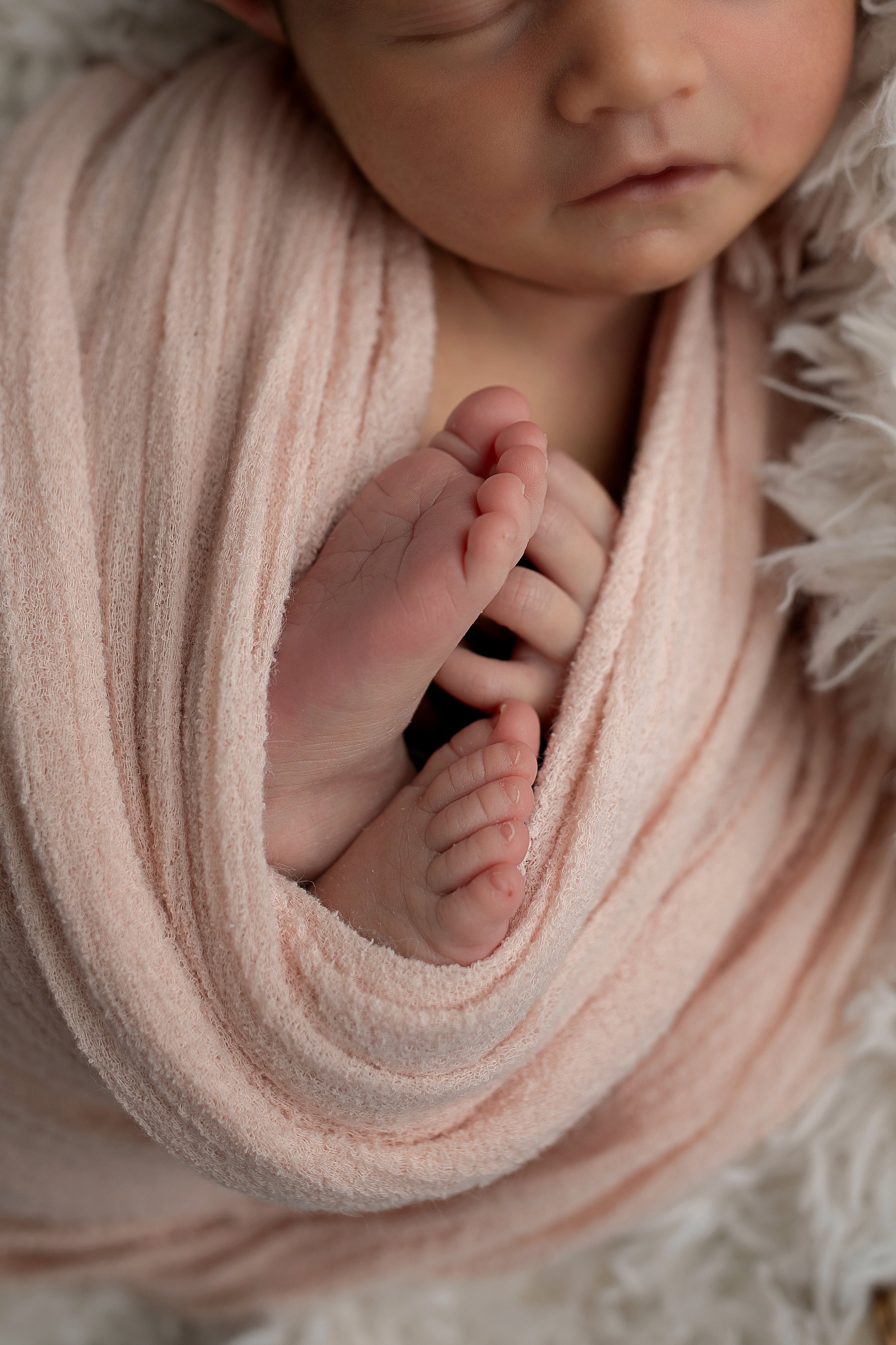 Montrose + Newborn + Photographer