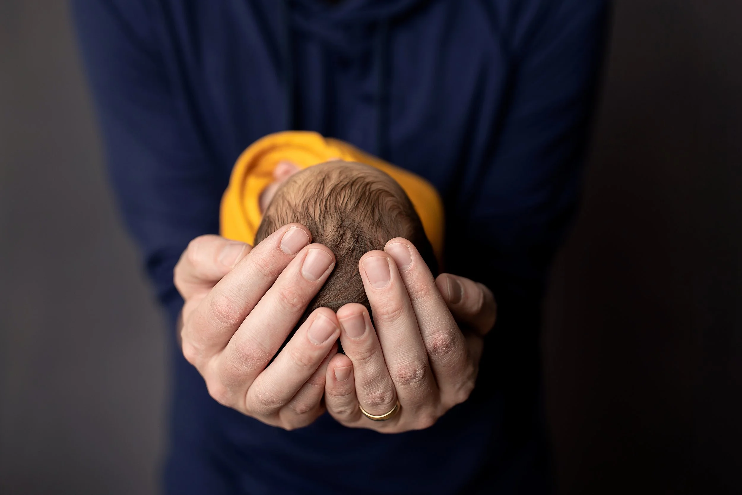 Montrose + Newborn + Photographer