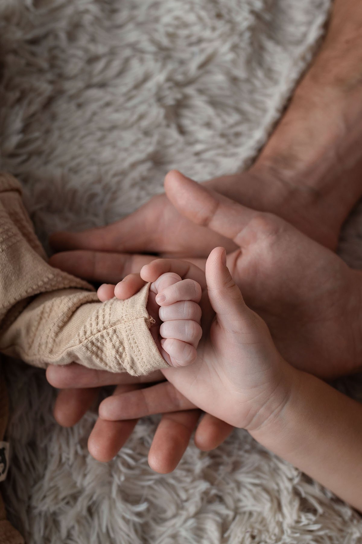 Montrose + Newborn + Photographer