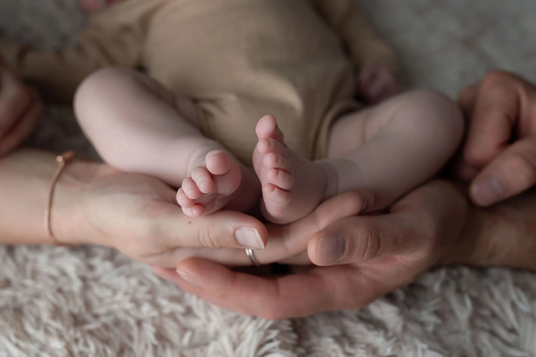 Montrose + Newborn + Photographer