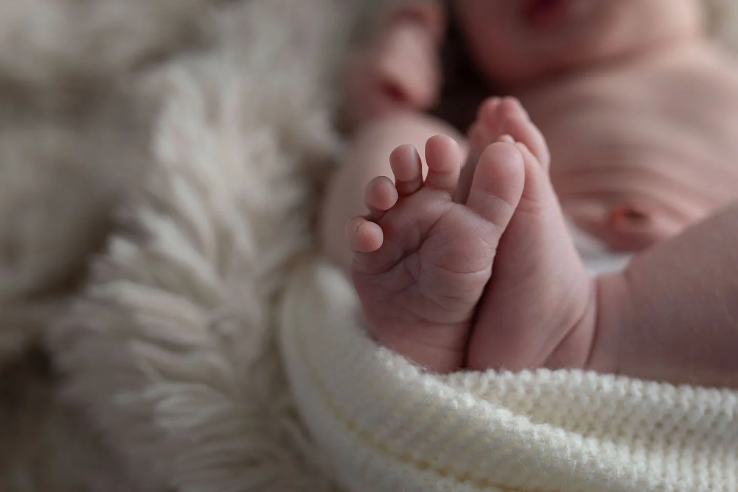 Montrose + Newborn + Photographer