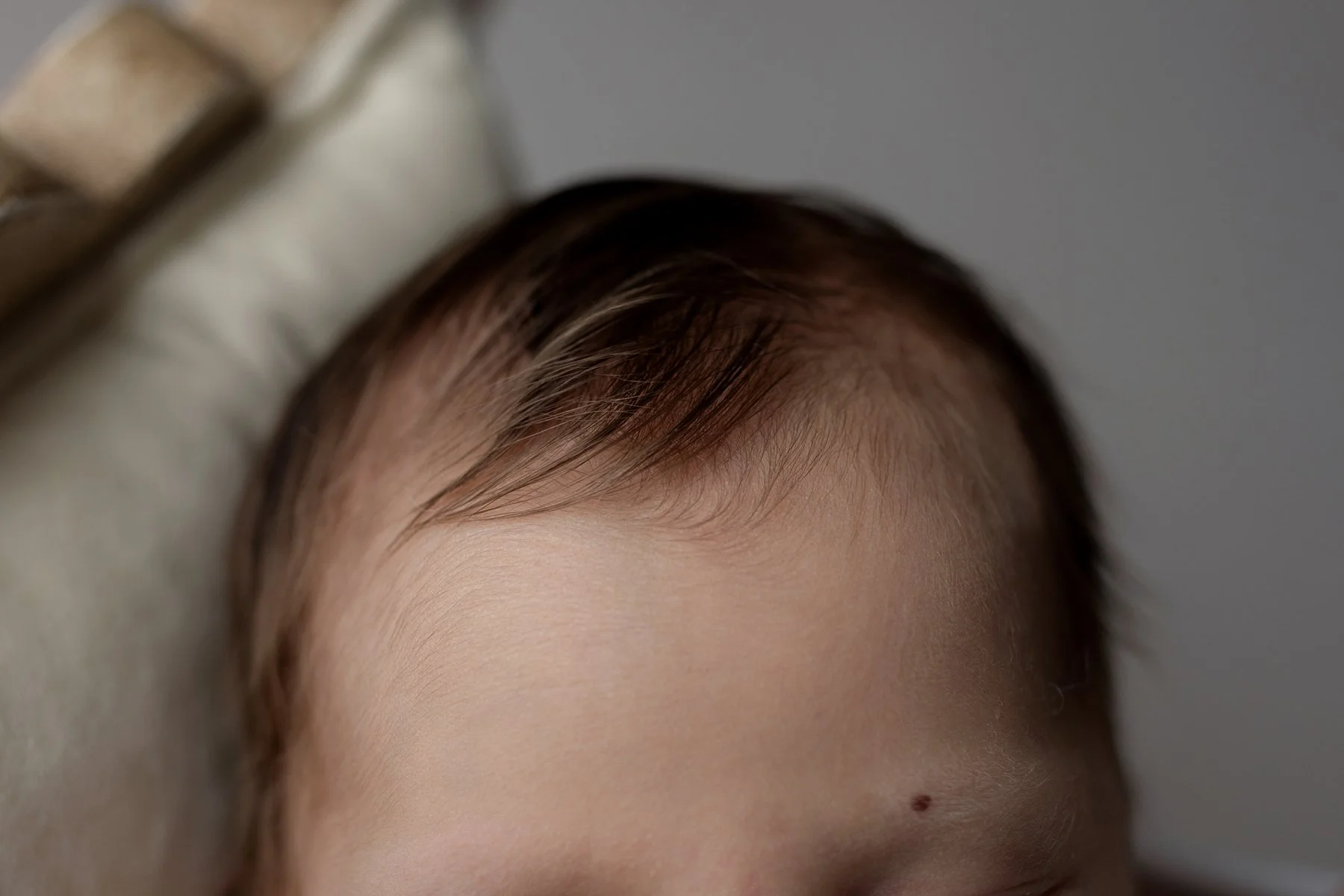 Montrose + Newborn + Photographer