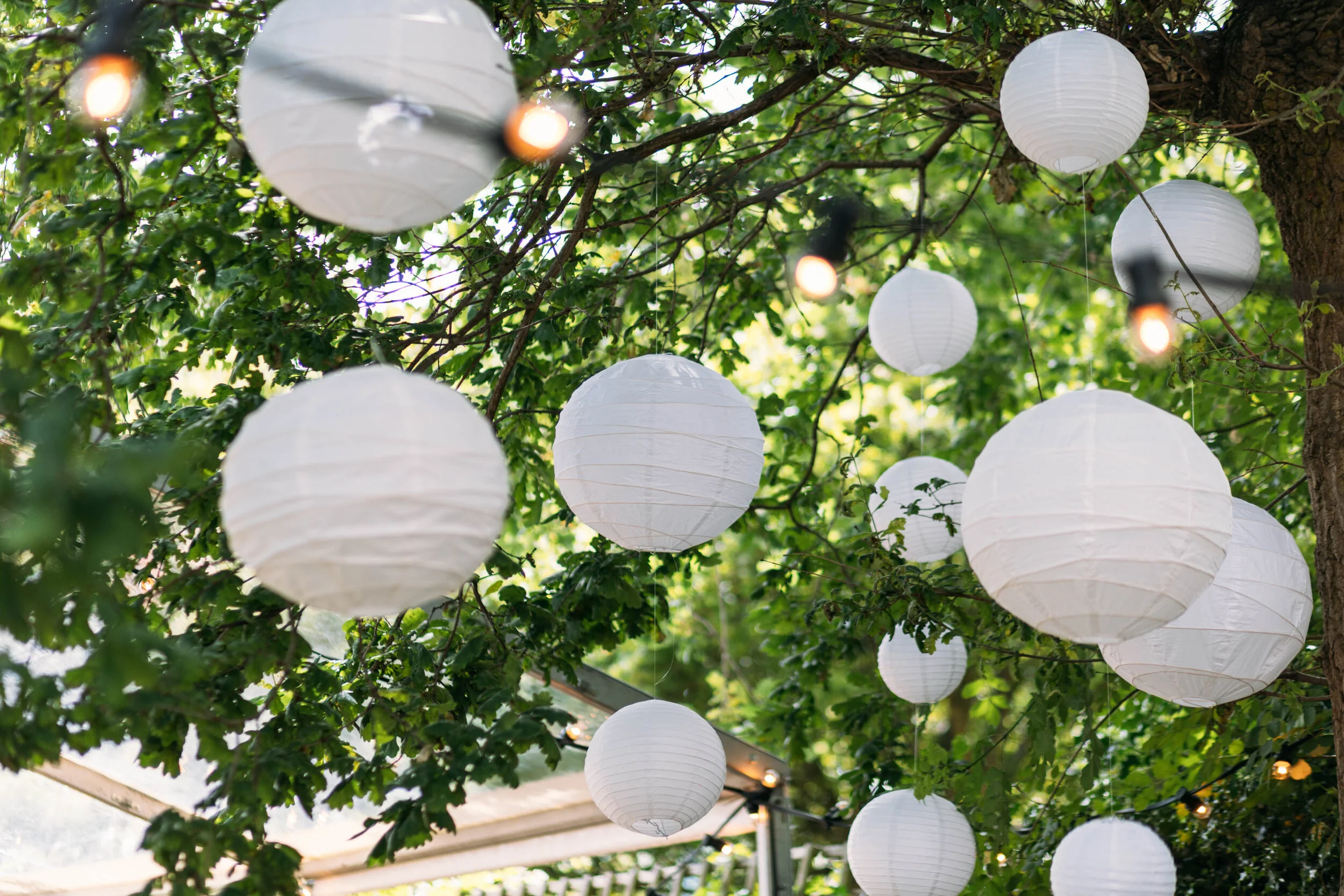 JessicaJillPhoto-63.jpg