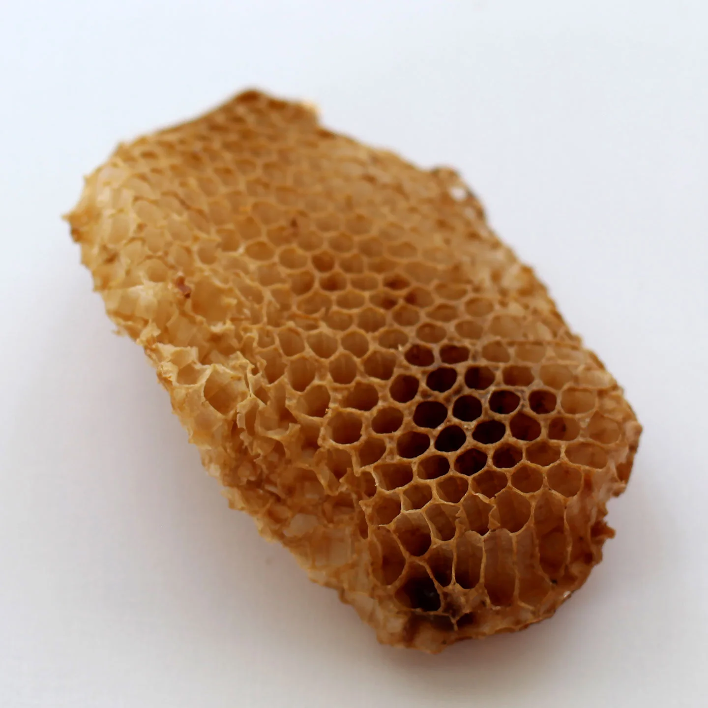 RITUAL HIVE | alchemy + prana