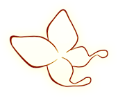 Outline of a butterfly with open wings against a light background.