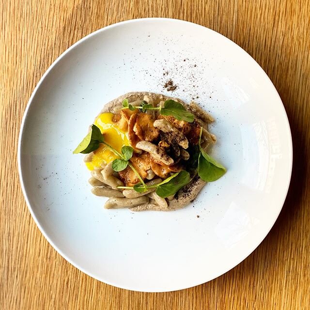 Buckwheat Cavatelli with Hedgehog Mushrooms &amp; Smoked Yolk. .
.
.

#cavatelli #wintereats #youlooknice @thefinchnyc @fifisimport @gabemcmackin #michelinstar #michelinstar2020 #1michelinstar #clintonhill #brooklyneats @michelinguide #brooklynrestau