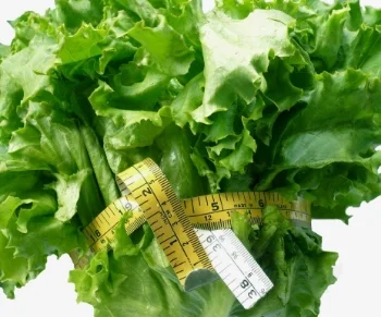 healthcoachphilly.com // diets don't work