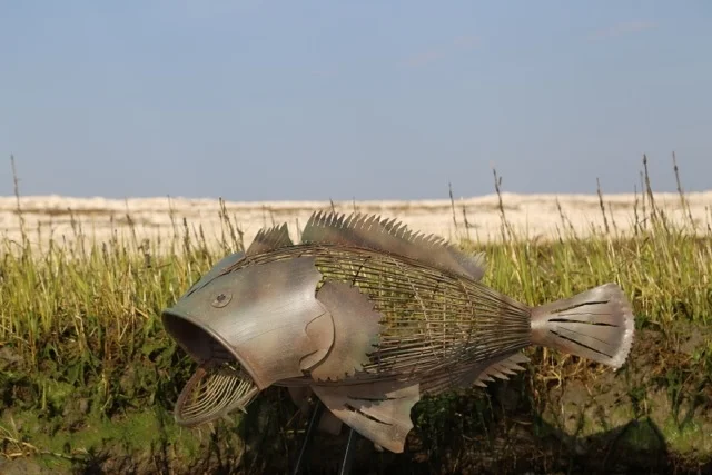 Oyster Toad Fish