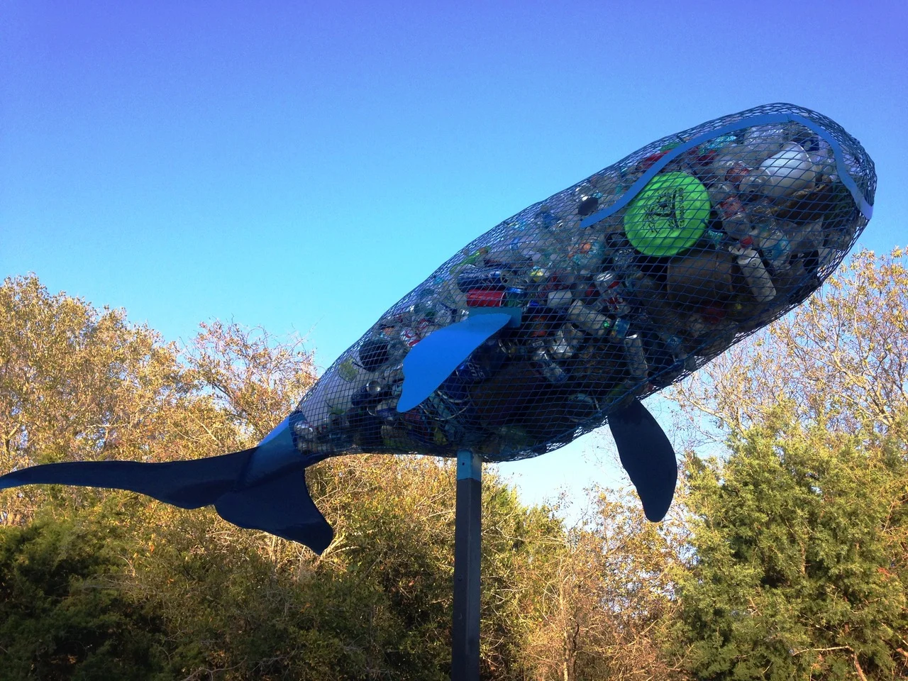 WHALE - Brunswick, GA - Keep Golden Isles Beautiful 2016