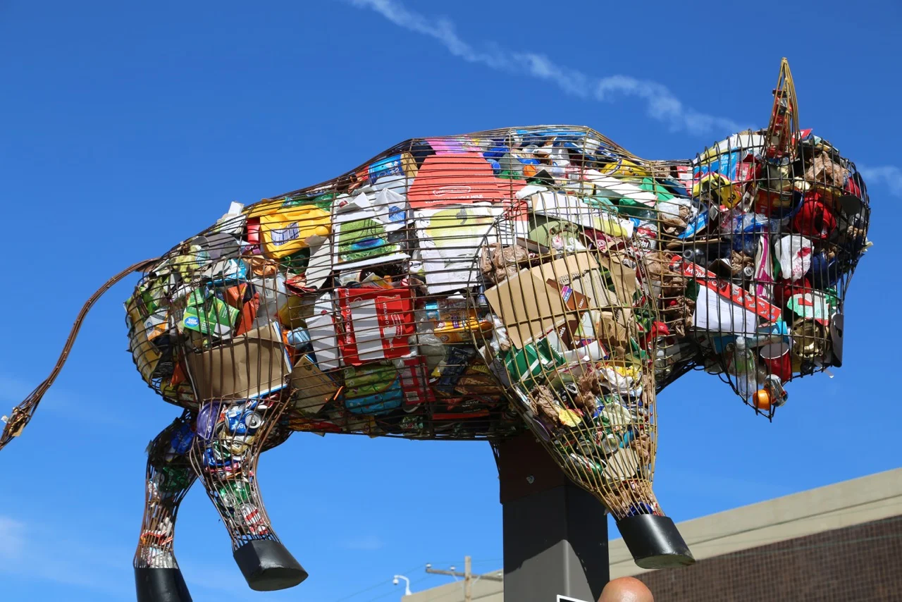 BUFFALO - Columbus, OH - Keep Columbus Beautiful 2017