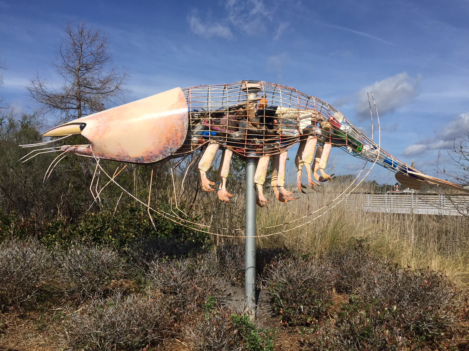 SHRIMP - Public Boat Landing - Georgetown, SC. Funded by Univ. of South Carolina and NOAA 2017