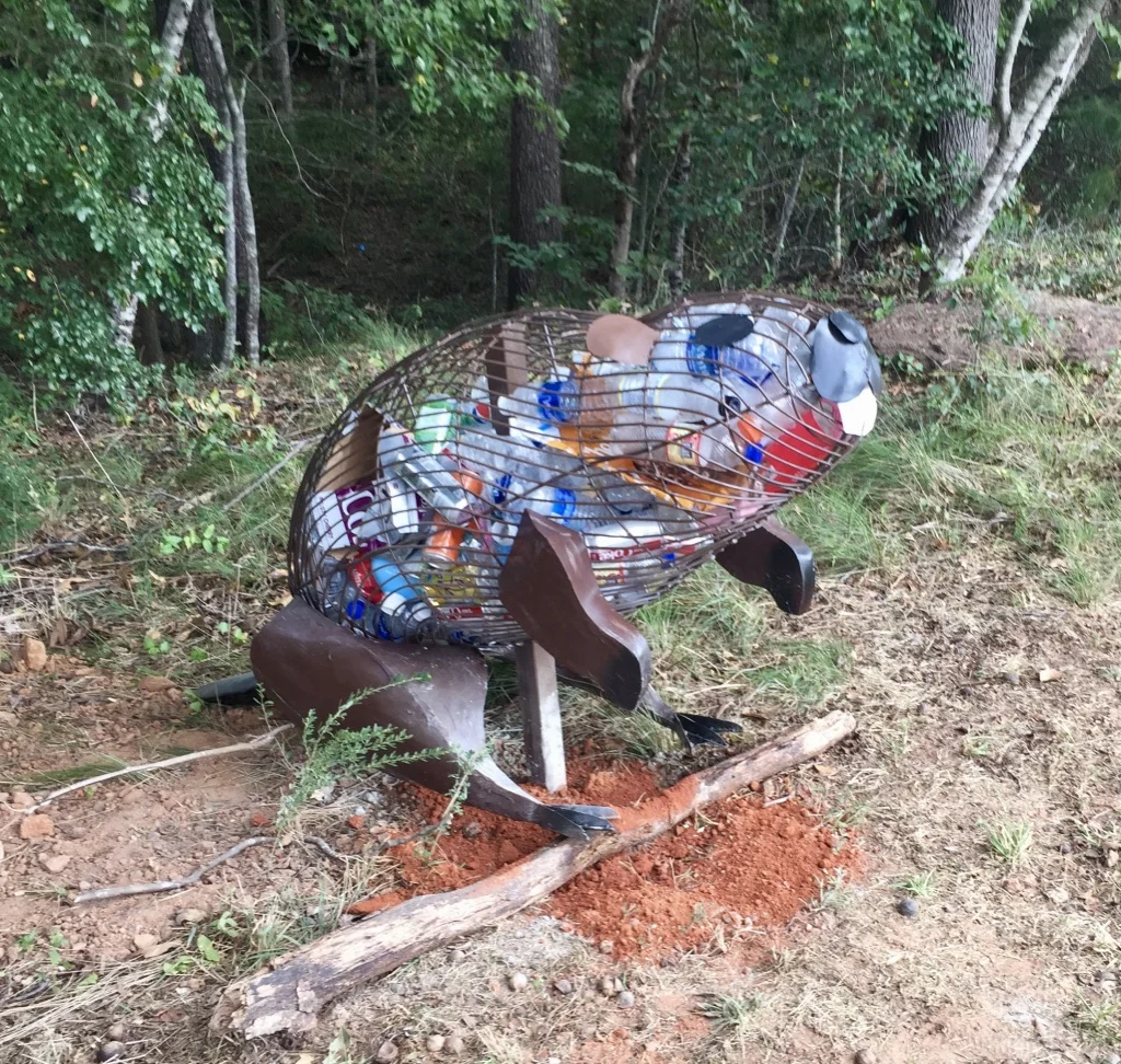 Beaver, 2018Greenville, SC