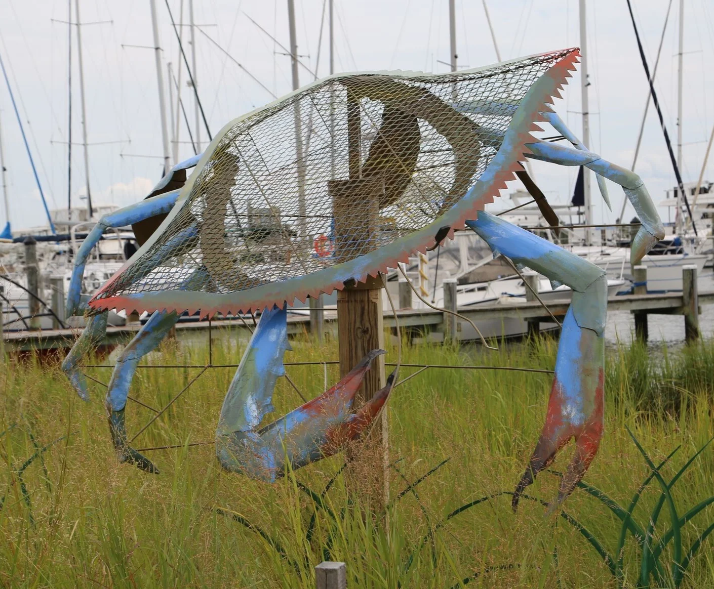 BLUE CRAB - Annapolis Maritime Museum - Annapolis, MD 2017