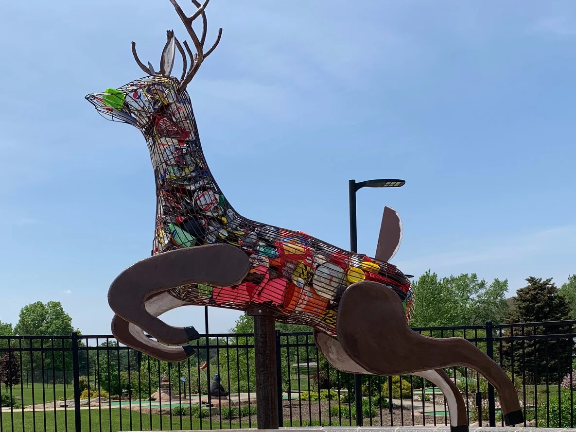 White Tail Deer