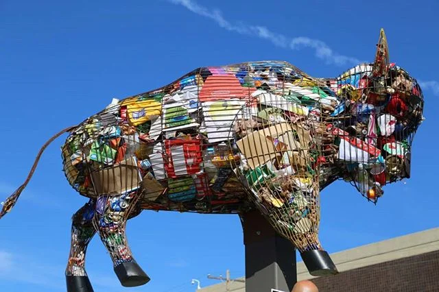 Buffalo, 2017Keep Columbus Beautiful, Columbus OH