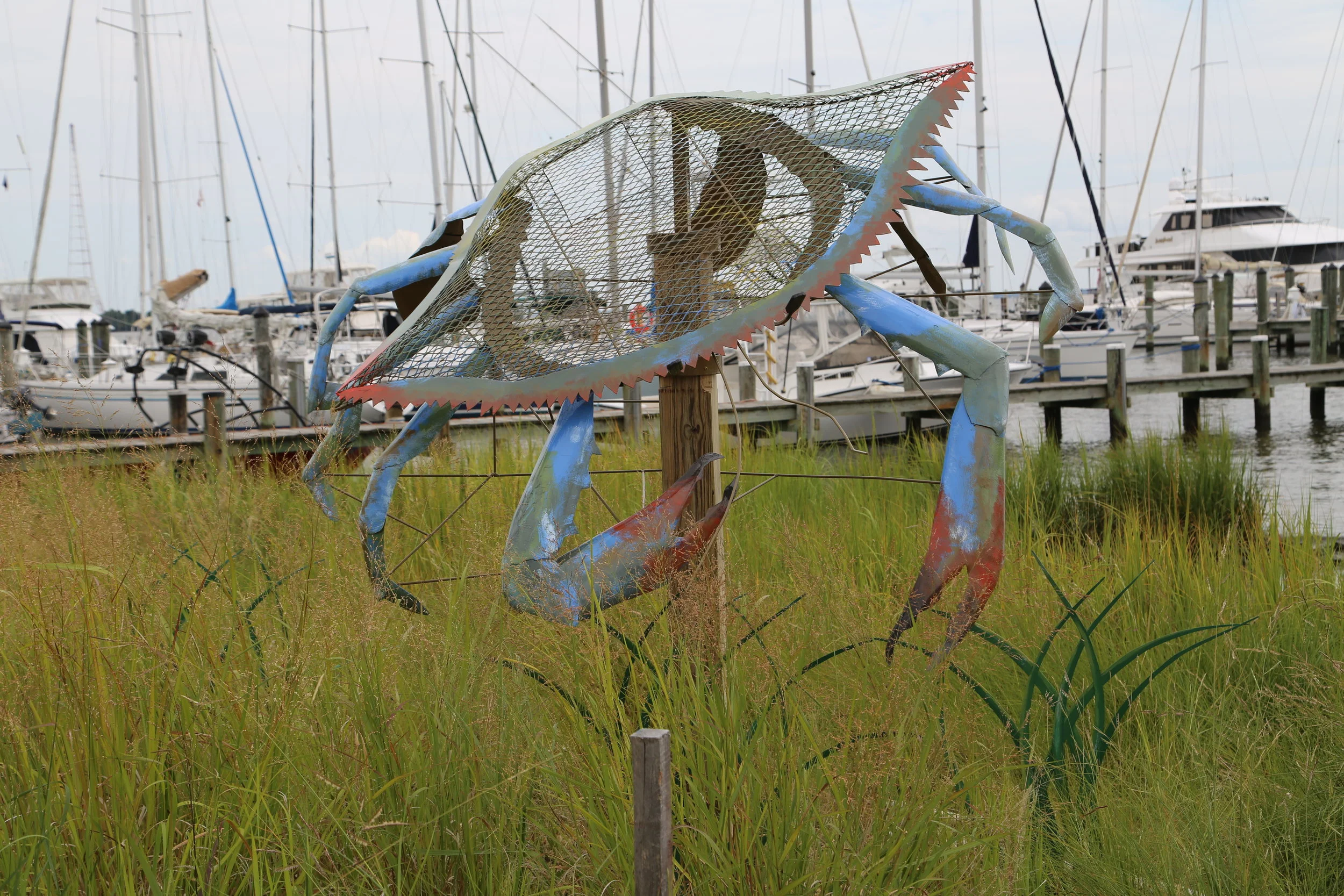 Blue Crab, 2017Annapolis Maritime Museum, Annapolis, MD