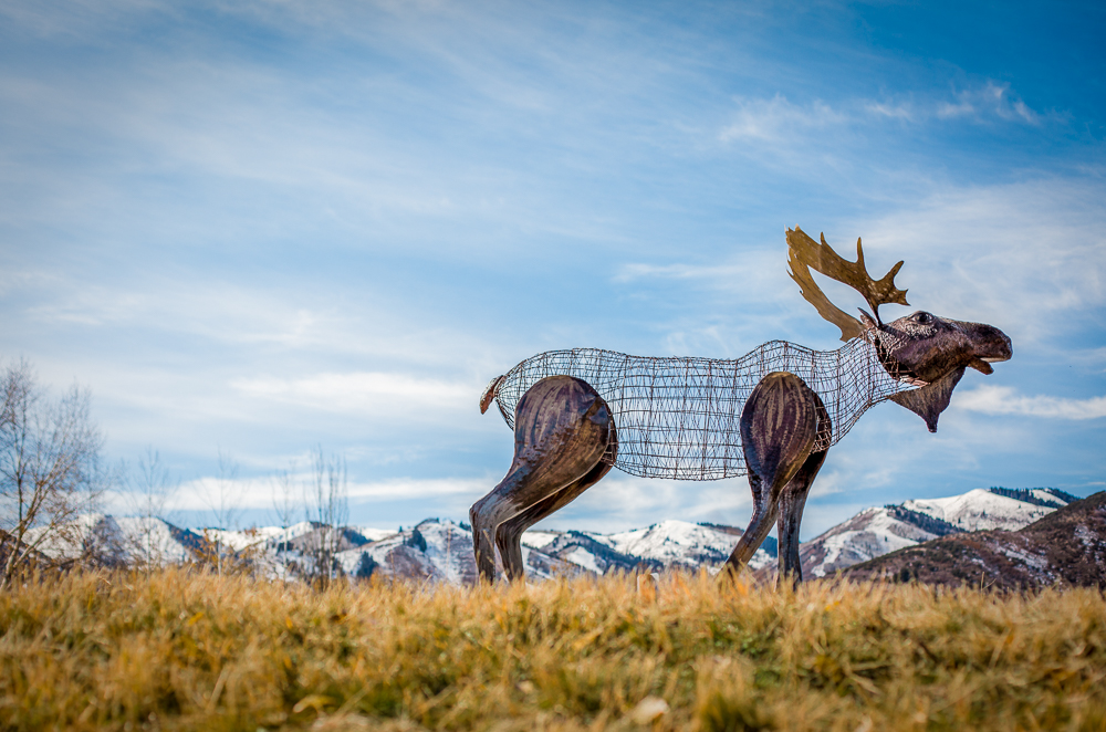 Moose, 2019Park City, UtahSundance Film Festival | Recycle UtahSponsored by Dell