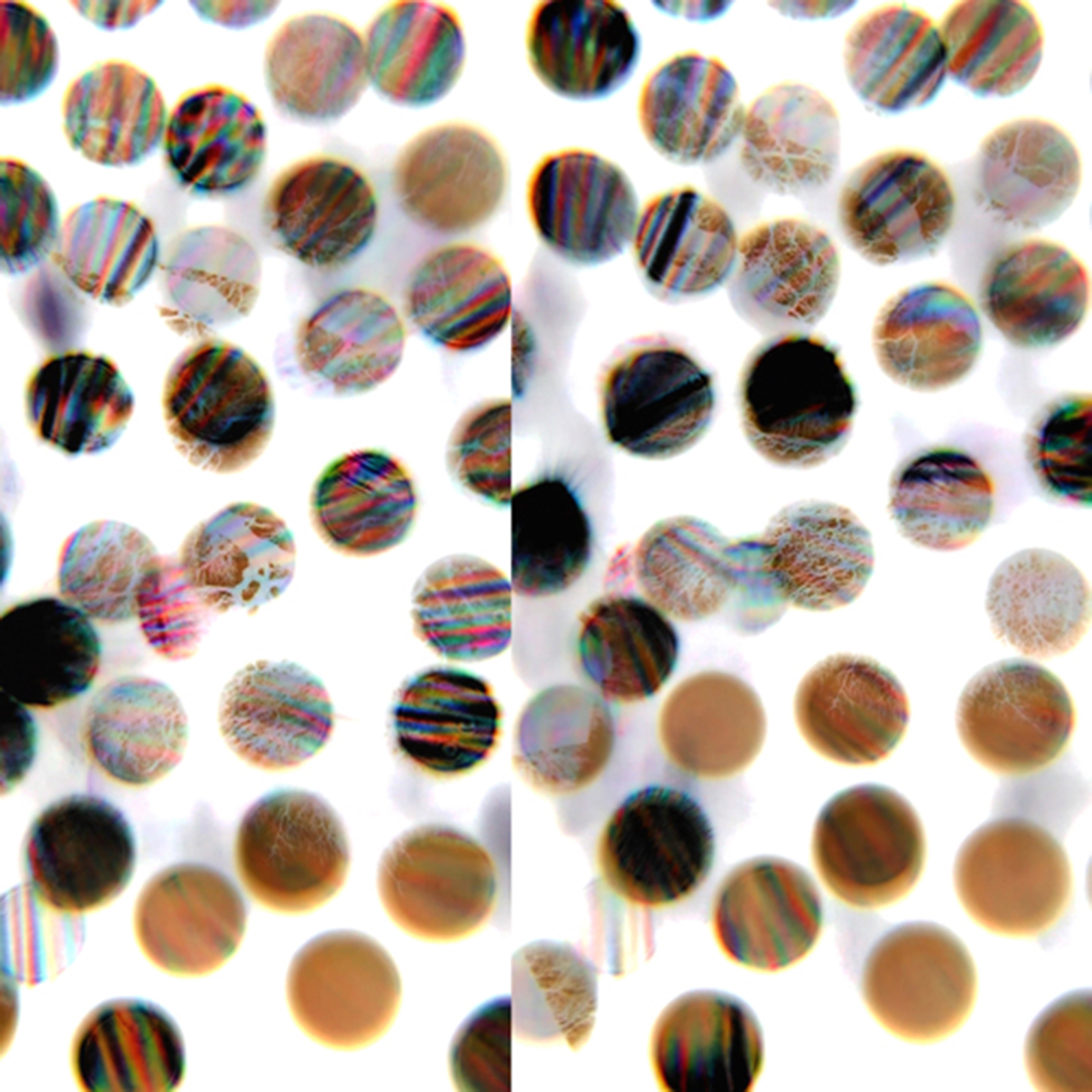 lens-inter-mulit-lens-5-in.jpg