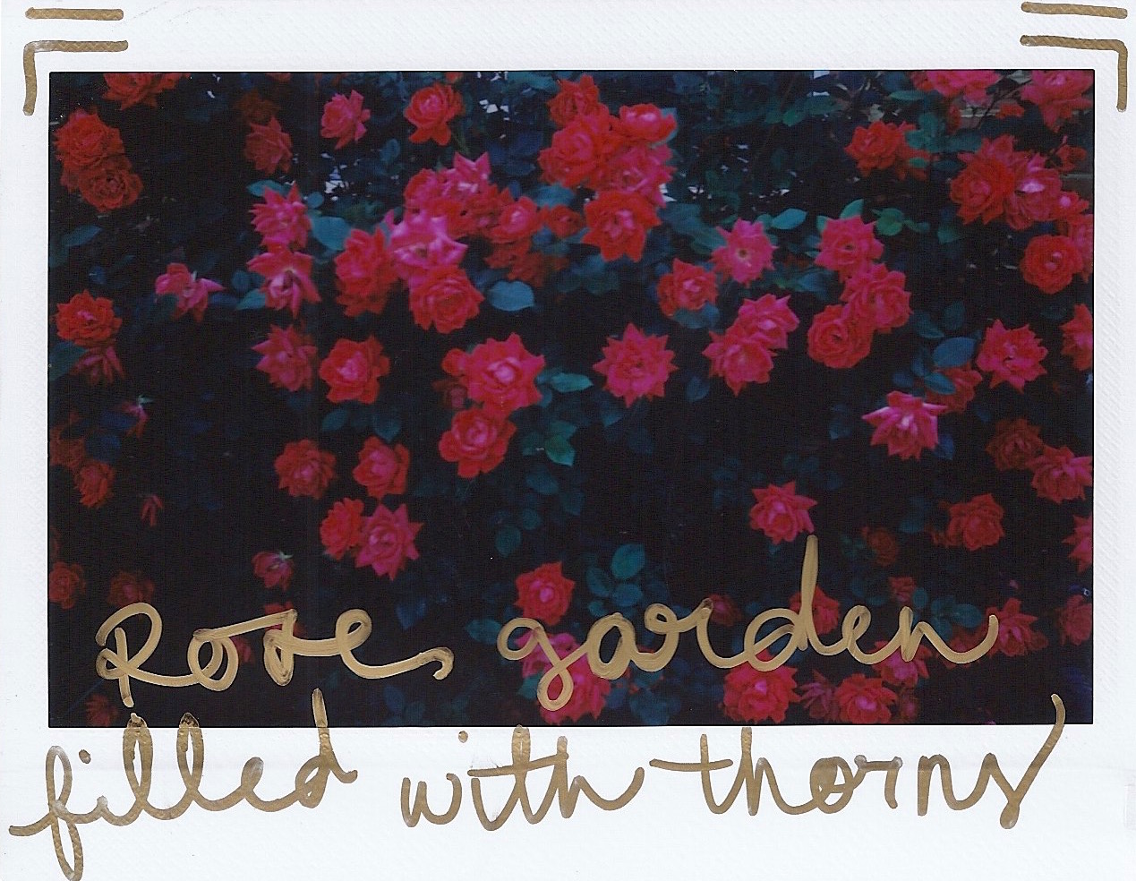 Scan 15.jpeg