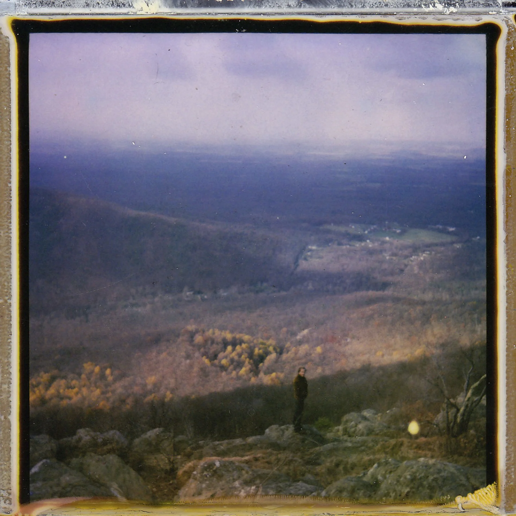 ZACKRAVEN'SROOSTpolaroid_0009.jpg