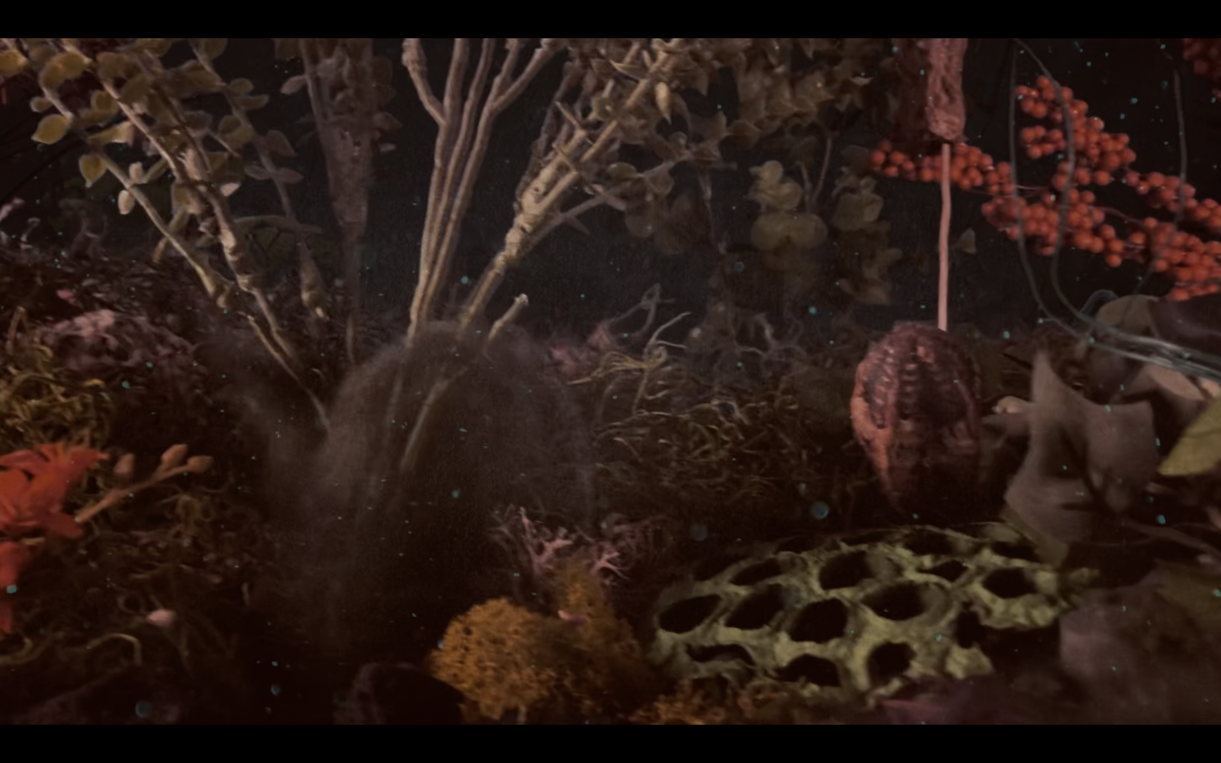 Screen Shot 2023-01-28 at 10.06.57 PM.png