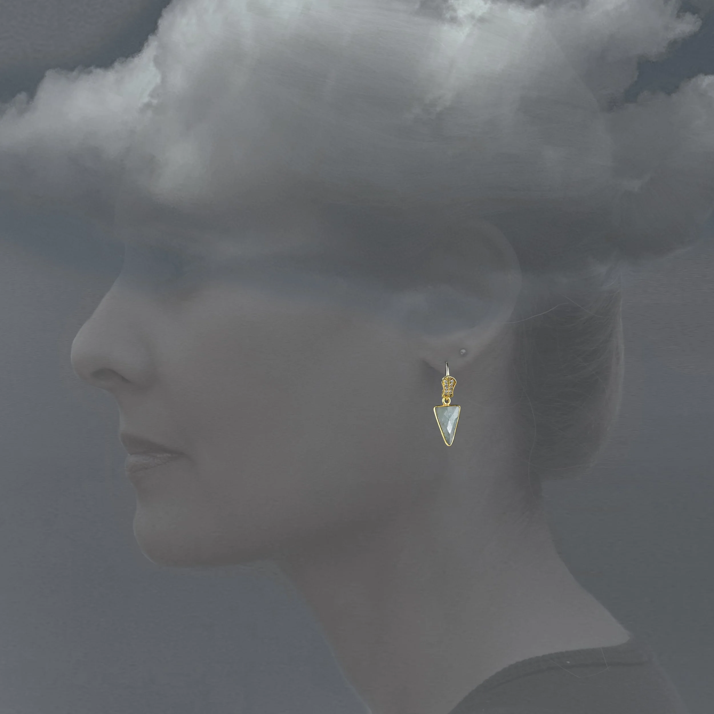 EAR-S2371-model.jpg