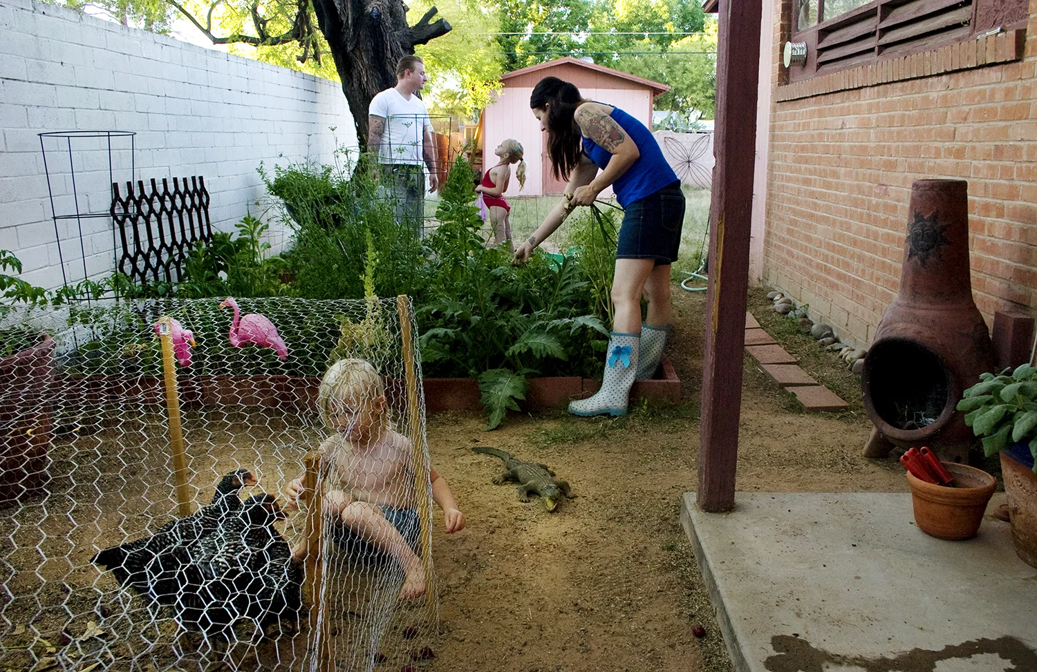 Down on the Backyard Urban Farm