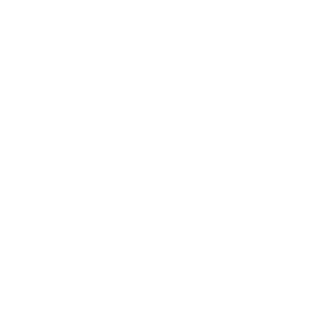 Grand Rapids Feminist Film Festival
