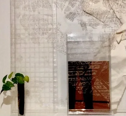 staircase, live plant and grid