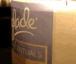 GC - Thumbail Gif Palindrome.gif