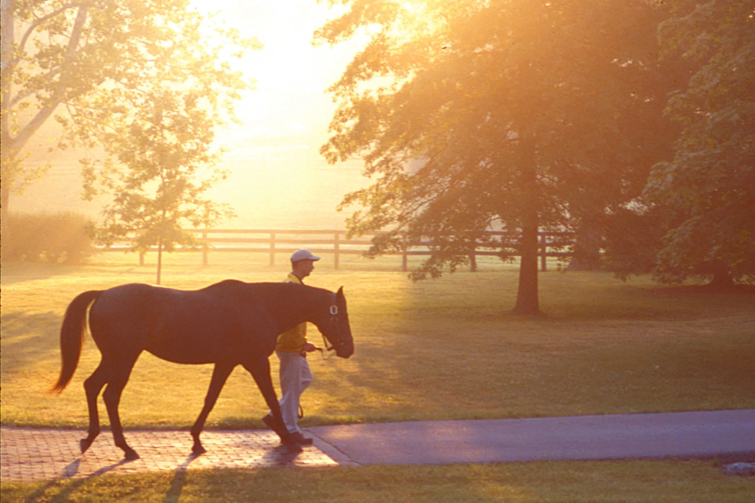 Claiborne+Farm+walk+at+sunset-01.jpg