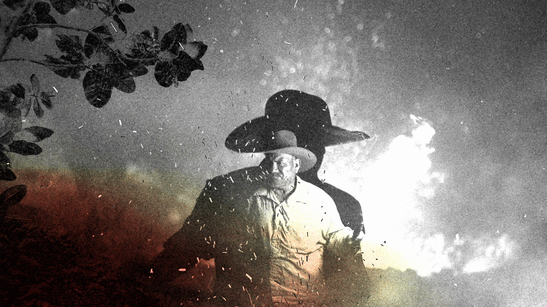 Lobos 1707 - Liquid Stories