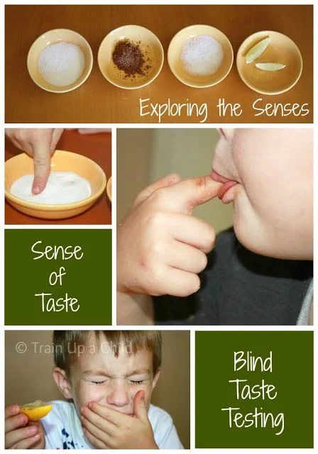 Science Saturday explores the 5 Senses