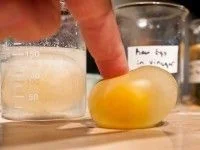 Science Saturday with EGGS!!!