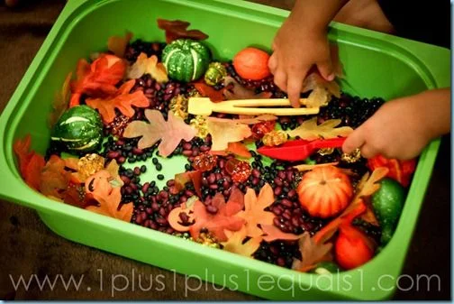 Sensory Bin!