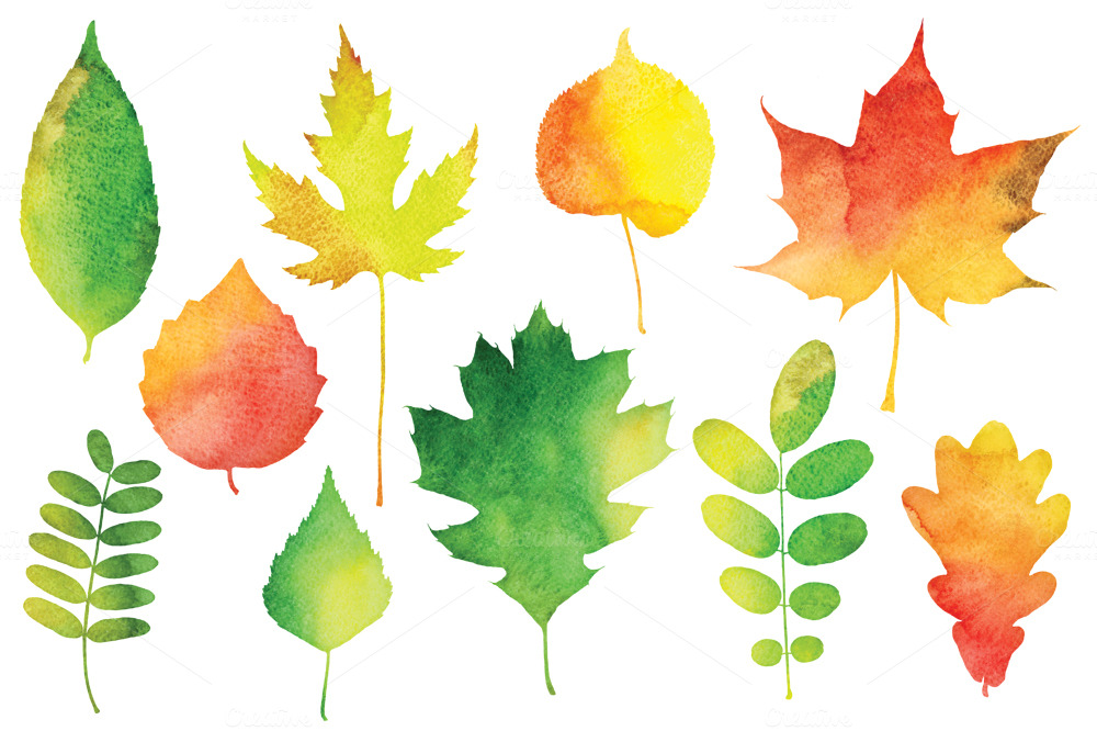 Water Color Leaves