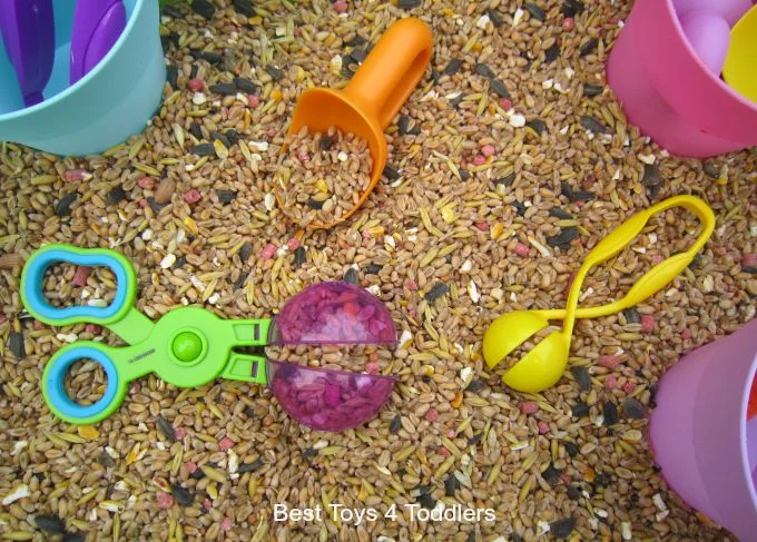 Tactile Thursday - Seeds & Beans Sensory Bin