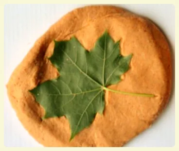 Art & Science Saturday - Play Dough Leaf Prints
