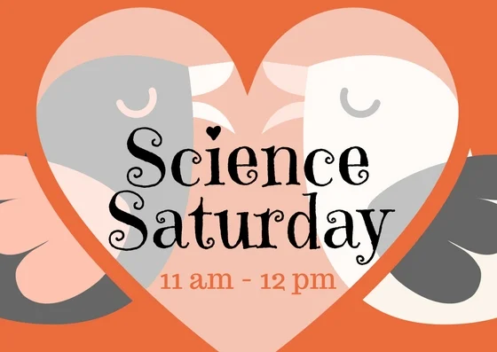 Science Saturday 