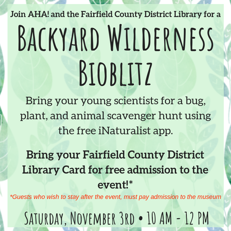 Backyard Wilderness Bioblitz at AHA!