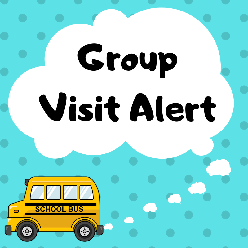 Group Visit