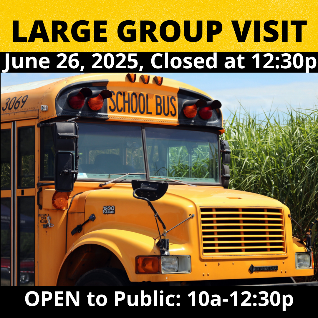 Large Group Visit. Museum closes at 12:30p. Museum OPEN to PUBLIC 10a-12:30p