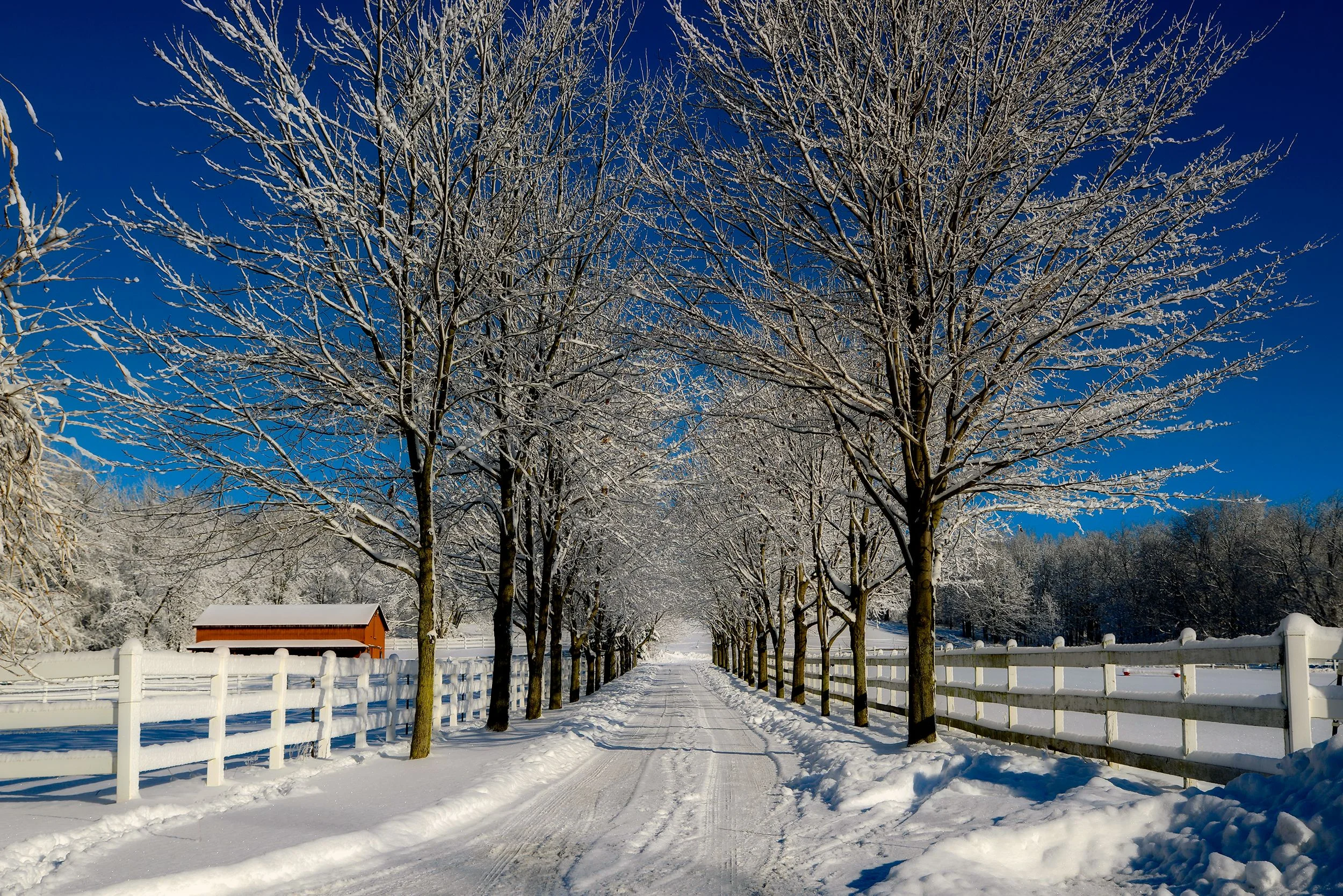 Winter 2013-83.jpg