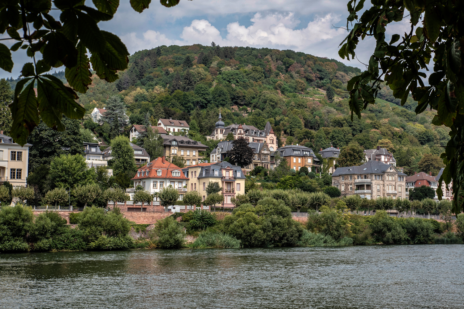Rhine George -8757.jpg