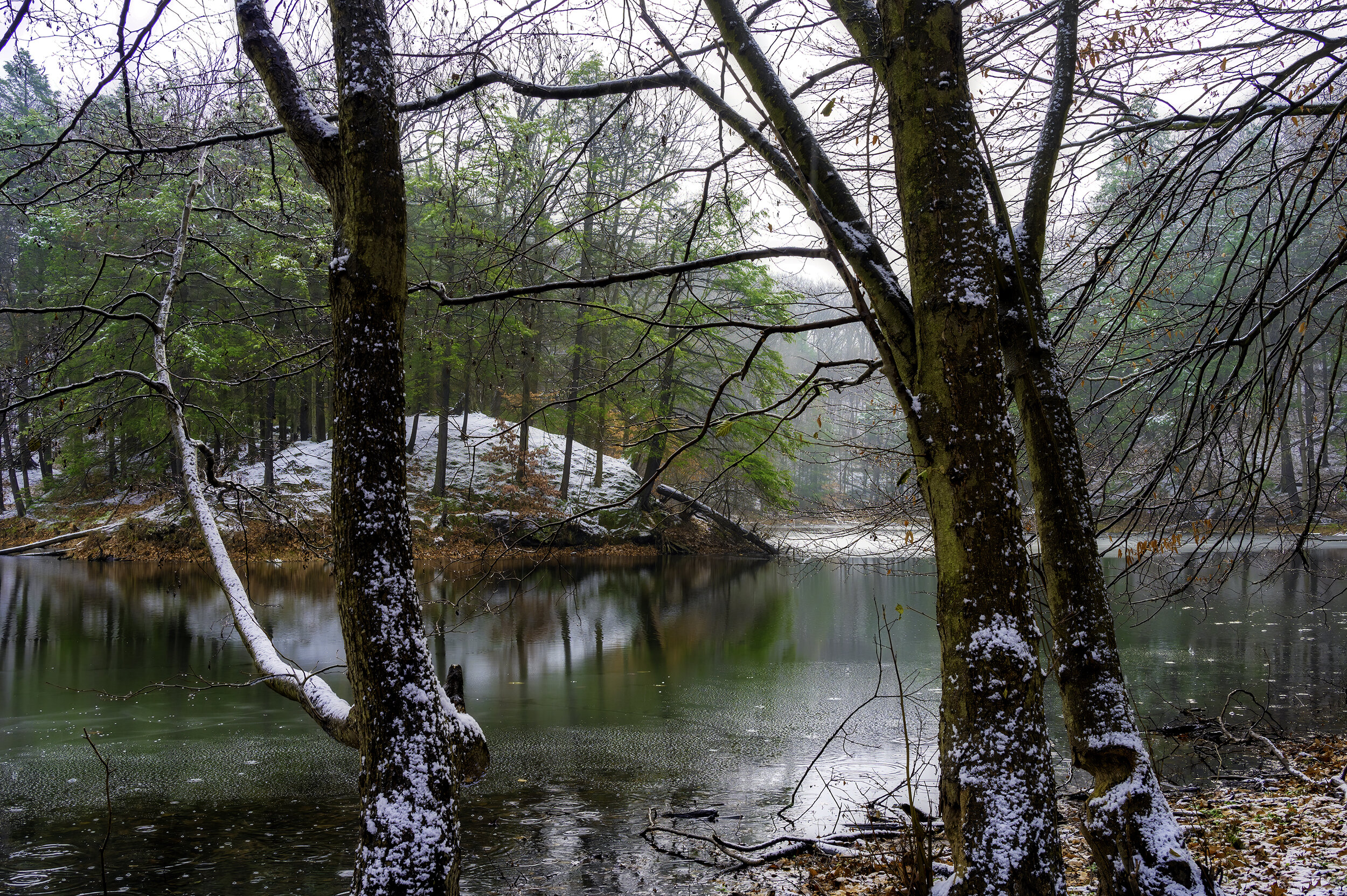 Durand Pond.jpg