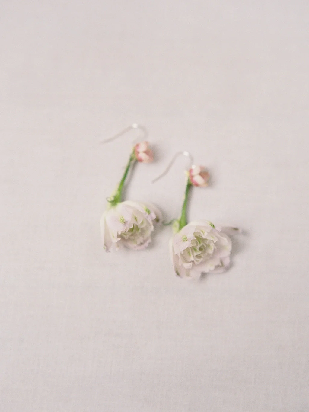 HeatherPaynePhoto_Wildflowers_078.jpg