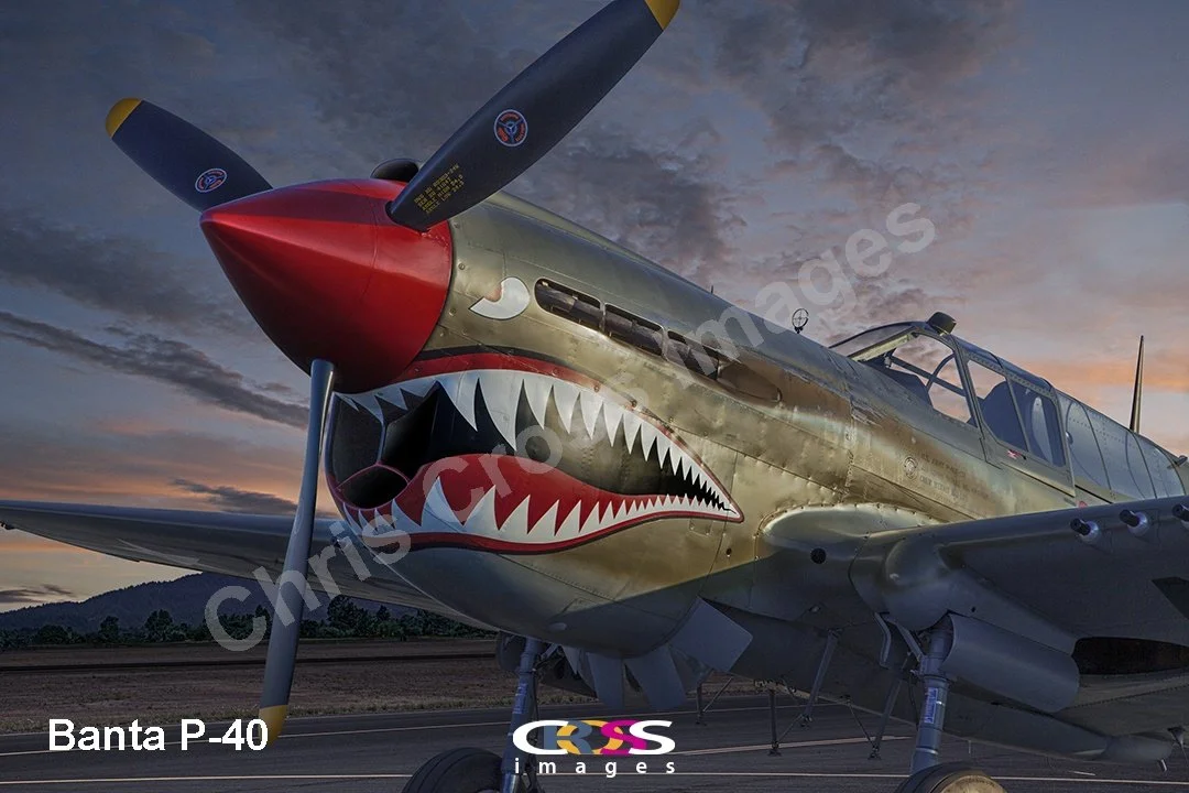 Banta P-40TextEmbedded.jpg