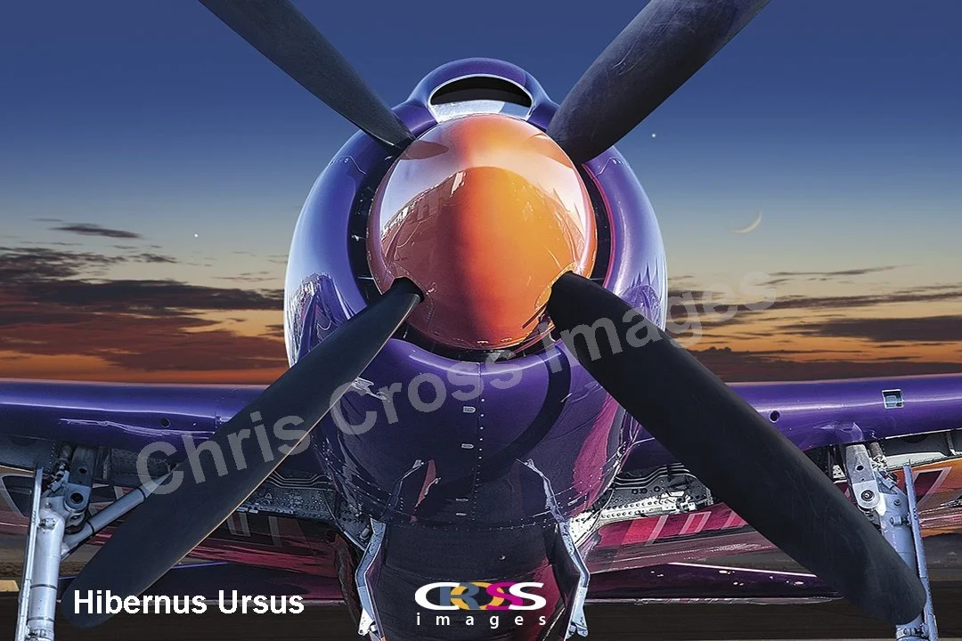 Hibernus UrsusTextEmbedded.jpg