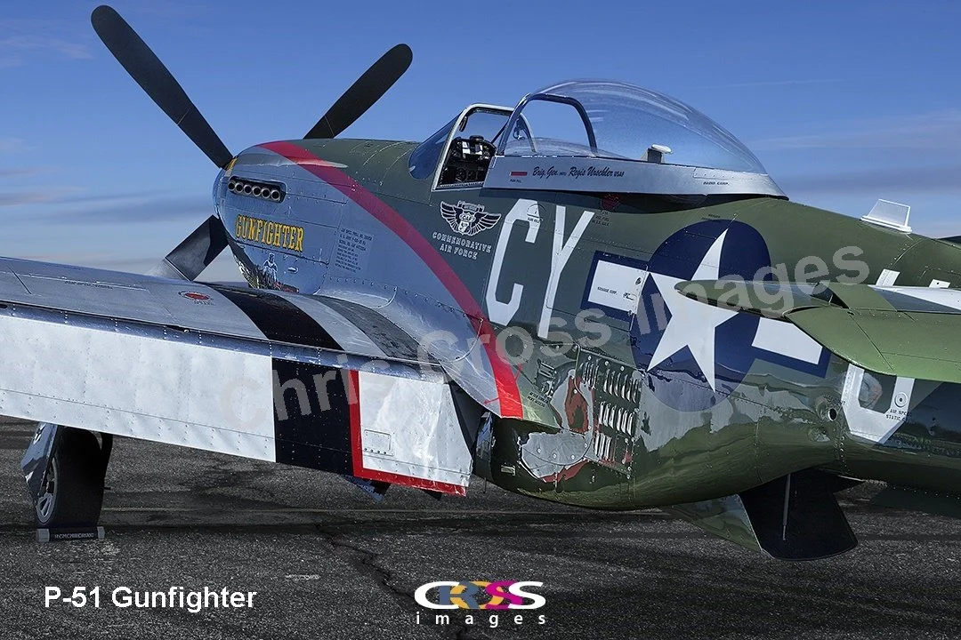 P-51 GunfighterTextEmbedded.jpg